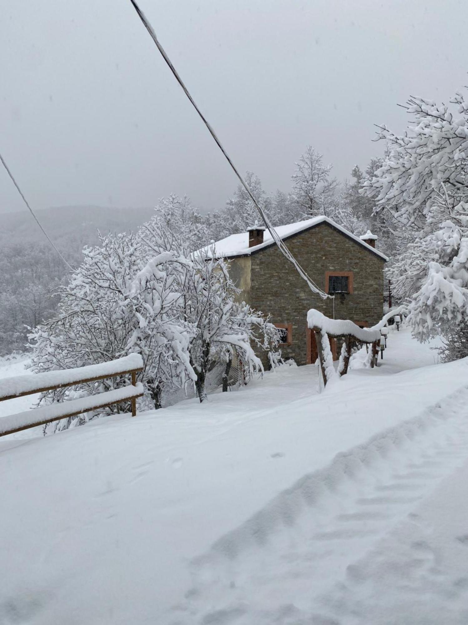 Bed and Breakfast La Lupa E L'Orso Берчето Экстерьер фото