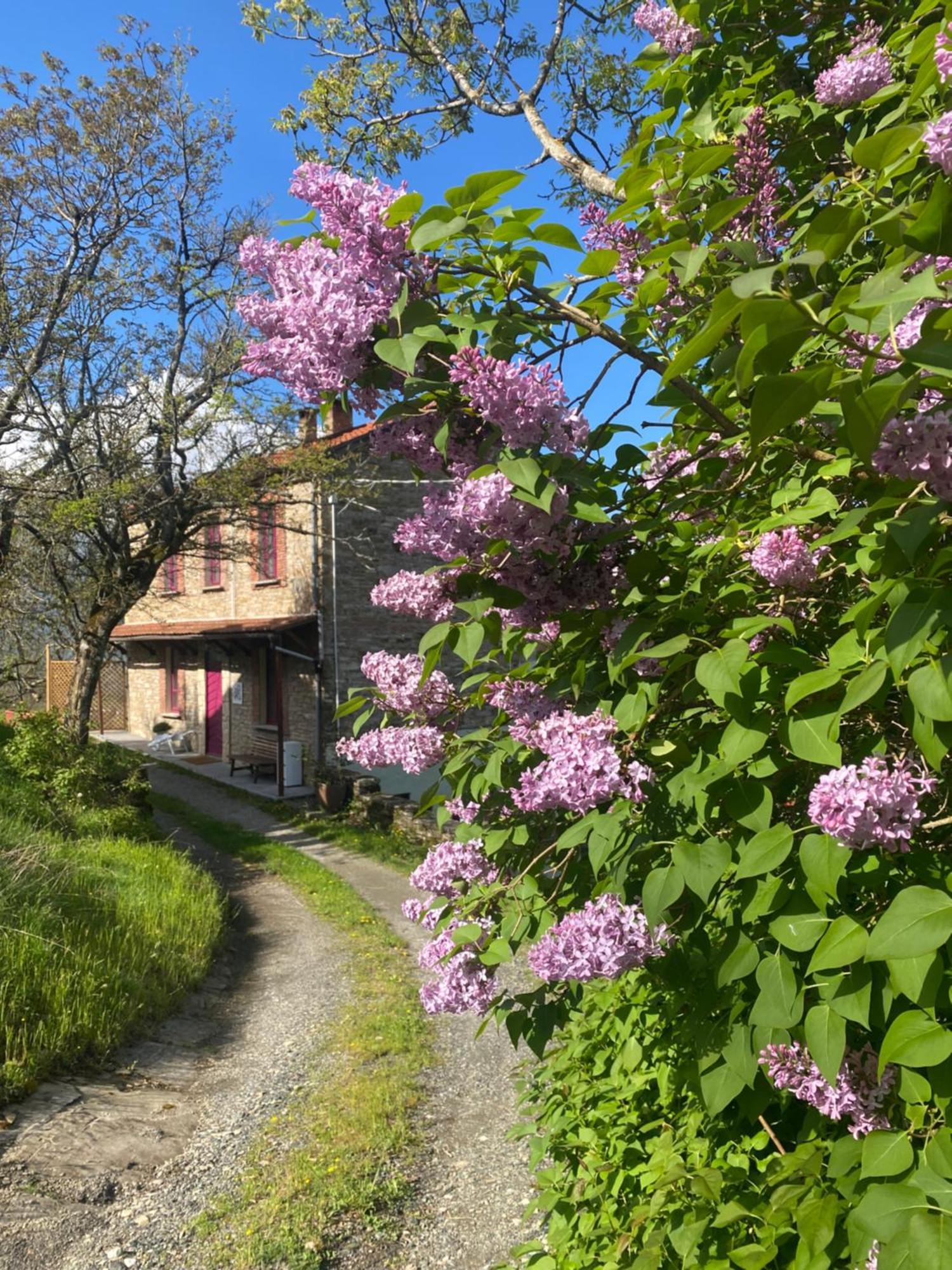 Bed and Breakfast La Lupa E L'Orso Берчето Экстерьер фото